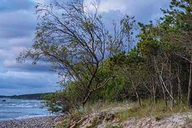 探索未来：澳大利亚队如何在国际赛场上打破瓶颈，澳大利亚队员