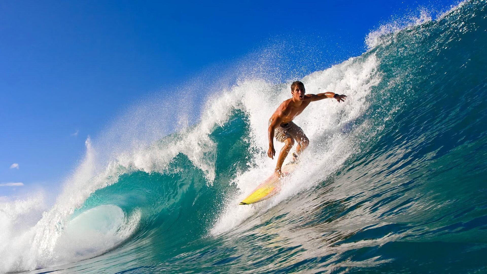 体育教育资源区域差异化发展策略研究，体育教学资源的开发